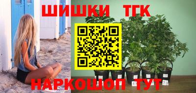 индика Краснознаменск