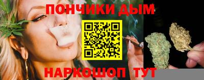 индика Краснознаменск