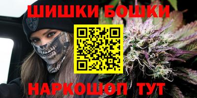 индика Краснознаменск