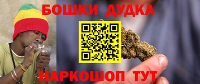 индика Краснознаменск
