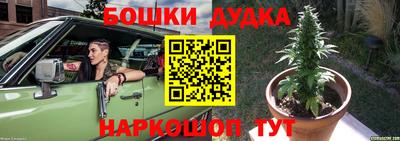 индика Краснознаменск