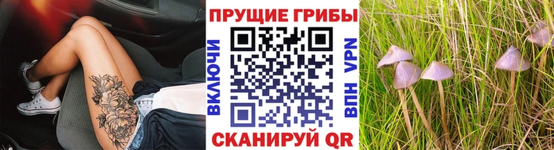 купить наркотик Канаш гидра tor Псилоцибиновые грибы мухоморы