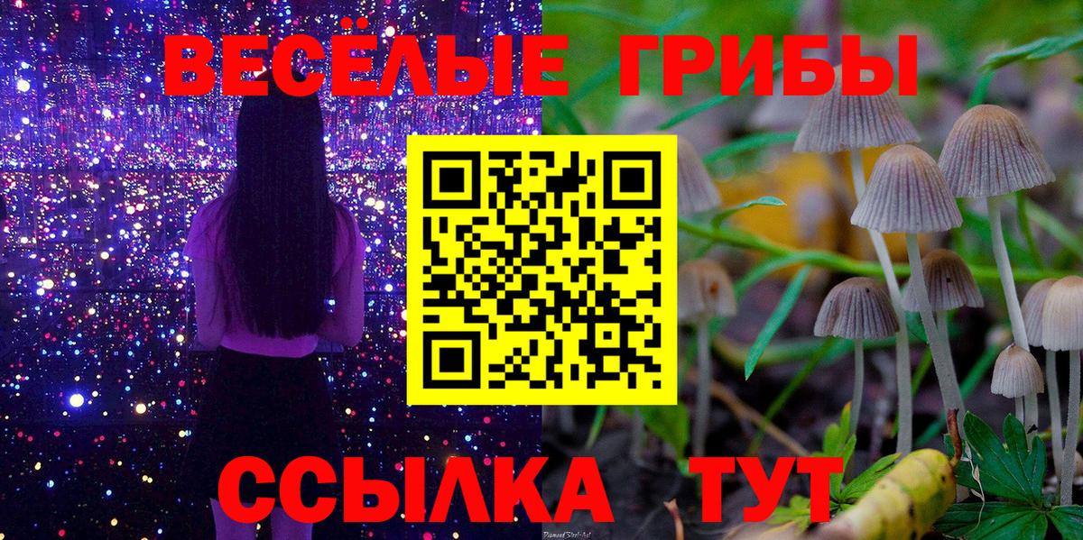Галлюциногенные грибы MAGIC MUSHROOMS Канаш